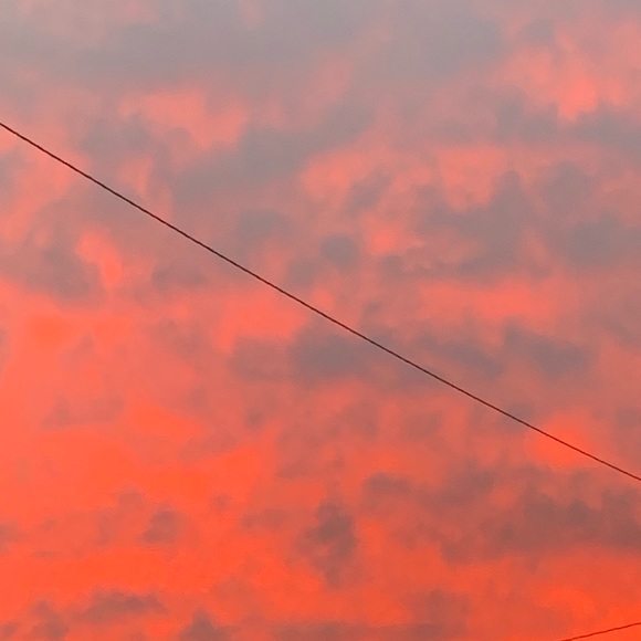 Meet your Posher, Tracey - Picture 1 of 1